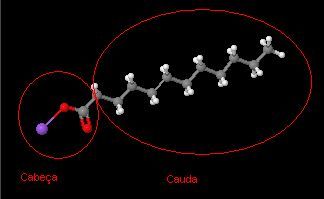 Media_httpi50tinypicc_vynut