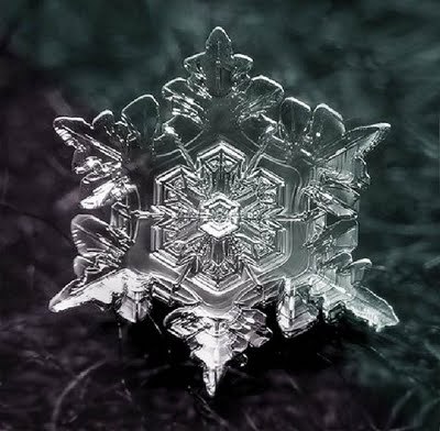 Snowflake_art_5