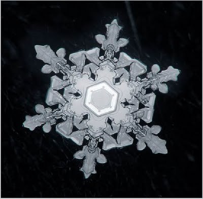 Snowflake_art_7