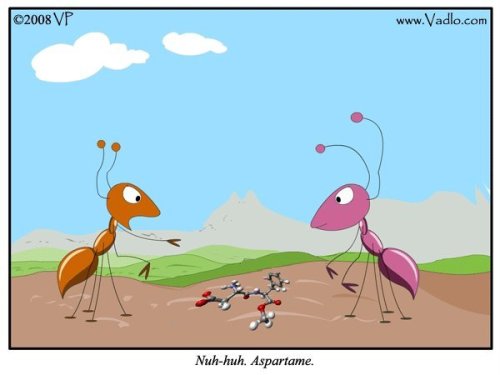 60801_155367601153880_100000419238801_372848_5313902_n