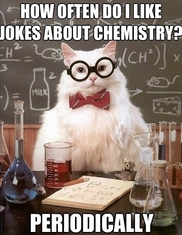Science_cat