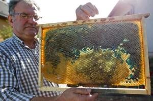 honey hive