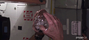 nsz35l7j6ra5kinhrody