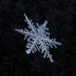 snowflake