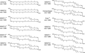 Estruturas de diferentes moléculas de GDGT, empregadas ou não nas análises de TEX86. Fonte: http://www.nature.com/ismej/journal/v4/n4/fig_tab/ismej2009138f1.html