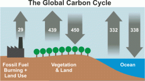 Ciclo do Carbono. Fonte: http://www.skepticalscience.com/human-co2-smaller-than-natural-emissions-intermediate.htm