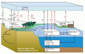 Ciclo Global do Carbono na década de 1990. Retirado do relatório de 2007 do IPCC. Fonte: http://www2.sunysuffolk.edu/mandias/global_warming/global_warming_misinformation_nature_emits_more_co2.html