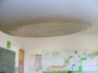 prato com água condensada