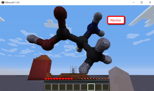 minecraft-alanina