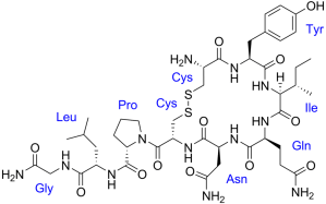 1024px-Oxytocin_with_labels