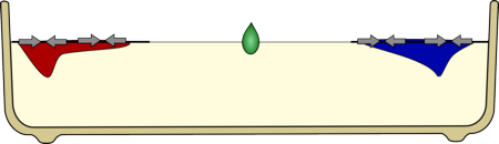 MilkColour-detergent.png.pagespeed.ce.3V8VlR7waP