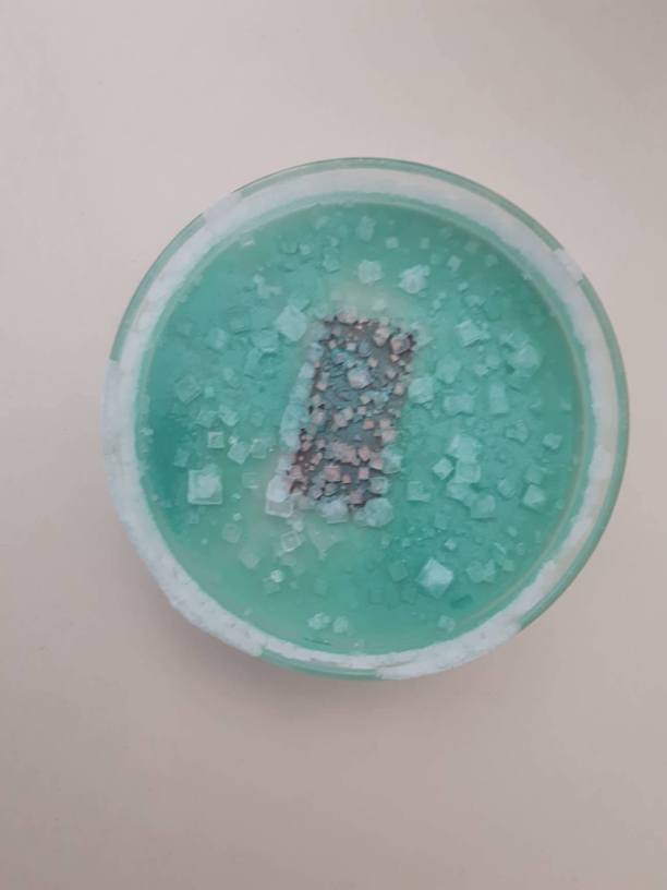 36234498_1858100967581777_1716807563330191360_n